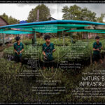 ADB9_TRAPAENG-SANKAI-NATURE_BASED_INFRASTRUCTURE