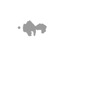 cilss_logo-white